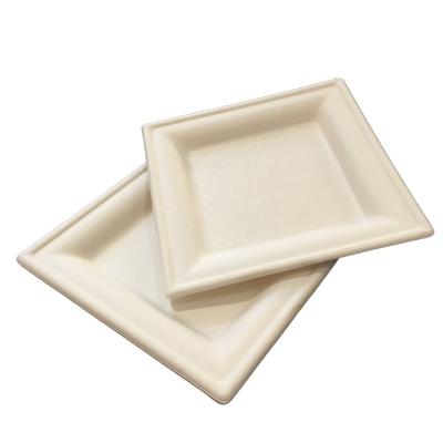 China 6 Inch Biodegradable Disposable Biodegradable Decomposable Square Dish for sale