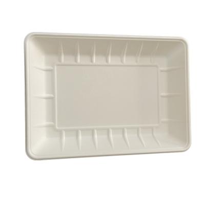 China Biodegradable Food Tray Compostable Fiber Tray Made of Renewable Resources Bagasse Wheat Straw Microwave Food Tray 290X210X40mm for sale