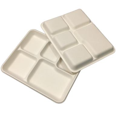 China 5 Compartments Biodegradable Lunch Tray Plate 265X215X25mm Disposable And Compostable Tray for sale