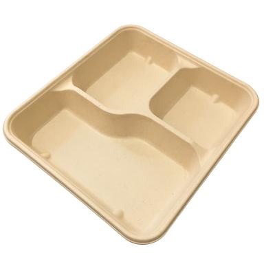 China 3 Compartment Biodegradable Biodegradable Disposable Square Tray With Lid Optional for sale