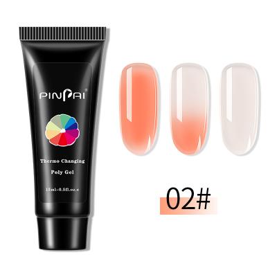 China Nail Art Beauty Temperature Change Poly Color Gel Nail Kit Private Label for sale