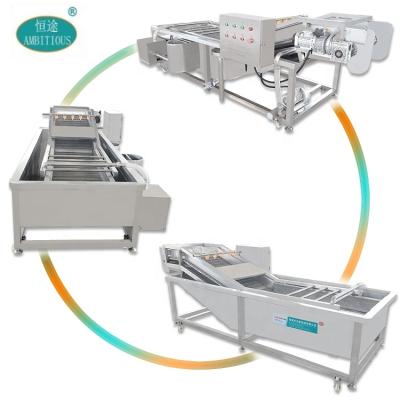 China Snack Factory Industrial Full Automatic Ozone Sanitizer Fresh Vegetable And Fruit Bubble Washing And Cleaning Machine Low Price For Sale for sale