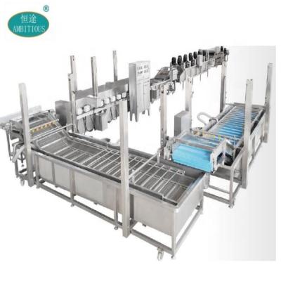 China Multi Purpose Conveyor Vegetable and Fruit Automatic Continuous Bubble Washing and Drying and Fruit Washing and Air Drying Machine for Sale for sale