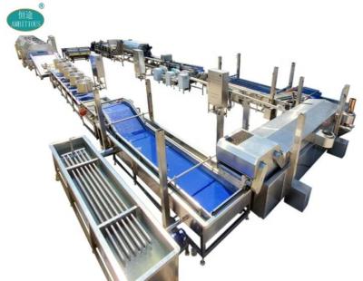 China Frozen Corn And Corn Processing Full Automatic 1000kg/hr IQF Frozen Corn Kernel Processing Machinery Turkey Line PLC Controlled Industrial Use Cheap Price for sale