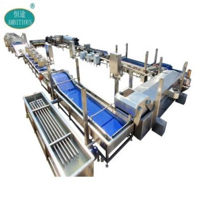 China food & Industrial Full Automatic Frozen Beverage Plant 1000kg/hr IQF Pea Processing Machine Turkey Line Factory Price For Sale for sale