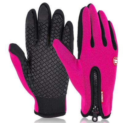 China Touch Screen Gloves Workout Gloves Half Finger Gloves For Men Women Fitness Exercise Gym Training Breathable Anti-Skid Gloves for sale