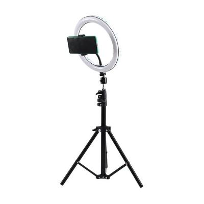 China ABS 10 Inches 2.1M Blue Color LED Photography Live Ring Fill Light Circle Selfie Beauty Lamp With Tripod Stand for sale