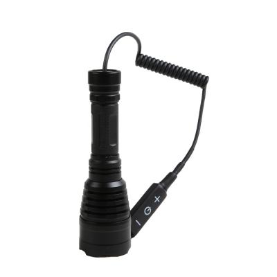 China Hot Selling Amazon LED Outdoor Entertainment Strong Light Hunting Green and Red Led Flashlight For Outdoor Activity Waterproof Bright for sale