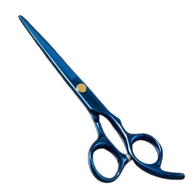 China Cutting Scissors Gold Hair Scissors Promotional Professional Trader for sale