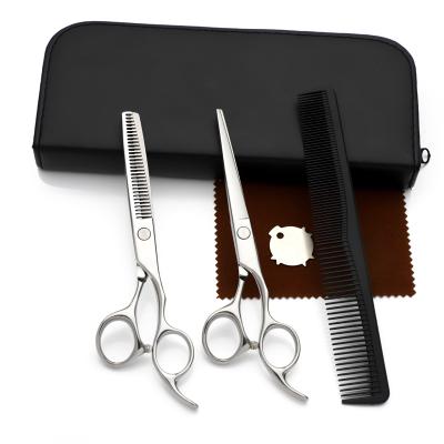 China SCISSOR SET Waybetter D23 Economy Student Hairdressing Scissors for Academy Hair School Cutting and Thinning Scissors for sale