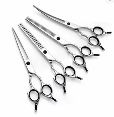 China Sustainable Pet Grooming Scissors Dog Grooming Tools Stainless Steel Dog Grooming Scissors for sale