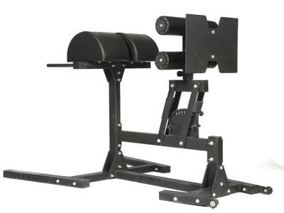 China Glute & Hamstring Developer Machine Glute Ham Developer GHD Machine for sale