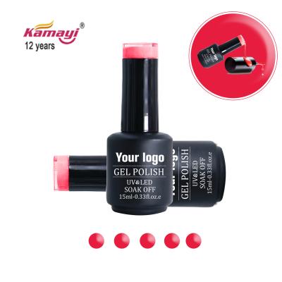 China Nail Art Polish Uv Gel Nails Kit Soak Off Gel Polish Gel Nail Polish Starter Kit for sale