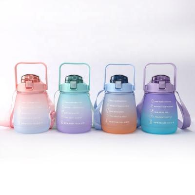 China OEM Viable Wholesale Colorful Portable Cup 1500ml/1300ml Cute Frosted Water Bottle for sale