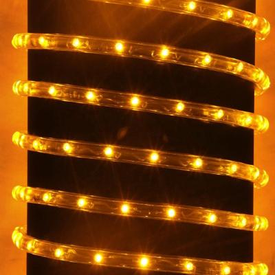 China Garden 2 Wire LED Rope Light Christmas Rope String Light Anti-UV for Tree Lighting for sale