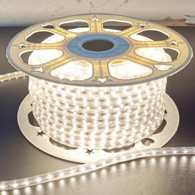 China 220V IP67 LANDSCAPE Decoration SMD2835 Flexible LED Strip Light for sale