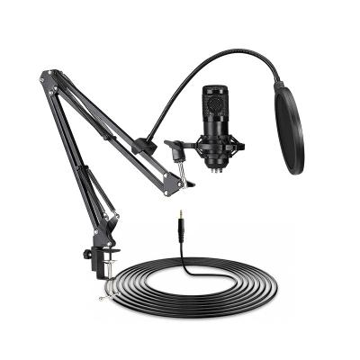 China Gooseneck Microphone Professional Desktop Podcast Studio Recording USB MIC Condenser Microphone with Gooseneck Arm Stand for sale