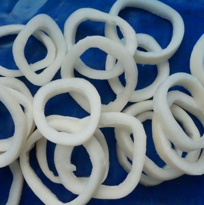 China Hongchang Squid Ring IQF Todarodes Pacificus Frozen Low Fat Frozen Squid Ring Details for sale