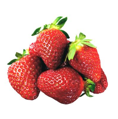 China frozen fruit price of frozen seedless strawberries for sale