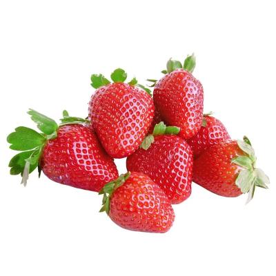 China Wholesale Fresh Fruits New IQF Fresh Frozen Fresh Strawberry From China for sale