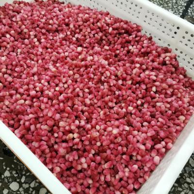 China Iqf FROZEN Frozen Fruit Pomegranate Seeds Price for sale