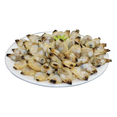 China FROZEN short neck clam frozen meat for sale