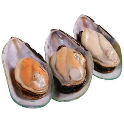 China Blue jelly half-shell mussel GELÉE for sale