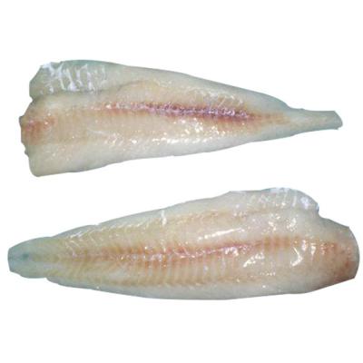 China FROZEN fillet of hake for sale