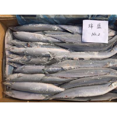 China frozen pacific fish 400-500g scumbresoce mackerel scumbresoce mackerel sanma for sale