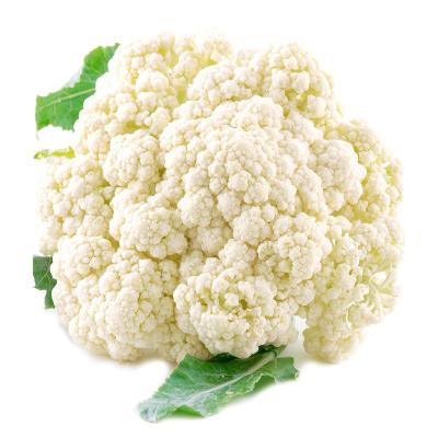 China Low Price IQF Fresh Vegetable Frozen Cauliflower For Wholesale for sale