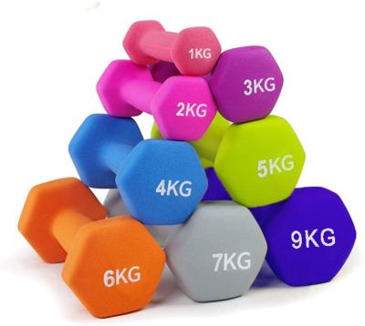 China Weightlifting Training Belts Factory Custom Women Use Vinyl PVC Neoprene Dipping Dumbbell Gym Cheap Walking Dumbbell For Sale for sale