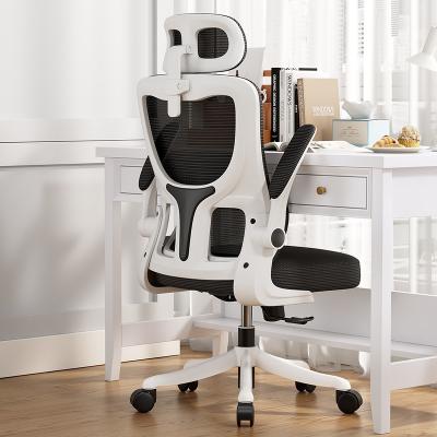 China Anji Adjustable Professional Ergonomic Chair Weightless Lumbar Support (Height) Office Chair for sale