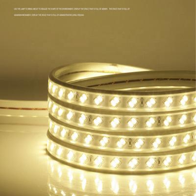 China Sports Stadiums Factory Outlet Work With Smart Alexa Waterproof RGB LED Strip 5050 SMD LED Rope Lights Led Bar Lights for sale