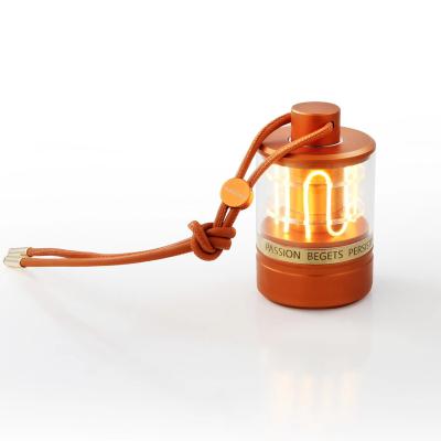 China Modern Modern Gift Lamp European Style New Promotion Led Acrylic Outdoor Table Lamp With Wireless Charging for sale