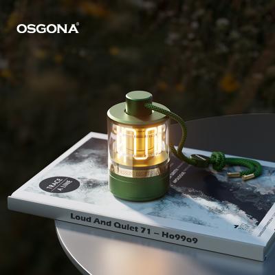 China Modern Modern Flexible Camping Outdoor Table Light Customized Colour Led Table Lamp Rechargeable For Night Use for sale