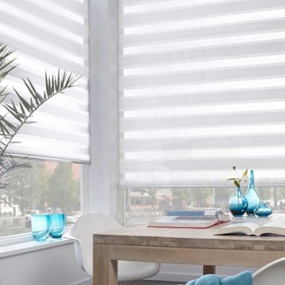 China Day And Night Contemporary Salable Double Layer Shades And Shutters Zebra Roller Shades for sale