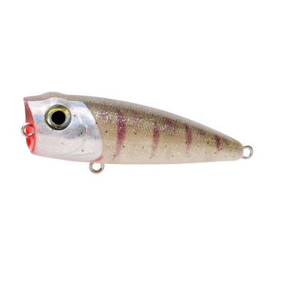 China 3D Eyes Sea Water Offshore Big Top 3D Water Eyes Hard Floating Snap Lure For Surfcasting Fishing for sale