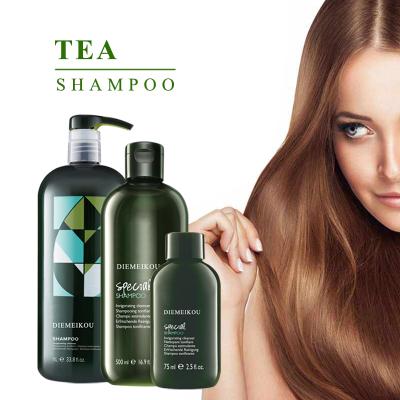 China Color-Protecting Custom Organic Natural Herbal with Anti-Dangdruff Liquid Keratin Moisturize Hair Growth Tea Tree Shampoo and Conditioner Set for sale