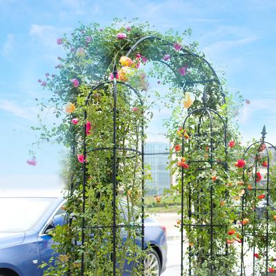 China Factory Wholesale Custom PE Coating Metal Flower Arch Plant Garden Arch Easily Assembled Steel Trellis for sale