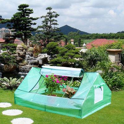 China Easily Assembled Custom Outdoor Chinese Factory Greenhouse Tents Greenhouse Garden for sale