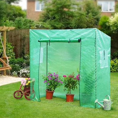 China Easily Assembled Factory Custom Greenhouse Backyard Greenhouse Garden Home Greenhouses For Sale for sale