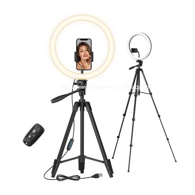 China Portable and Durable 2021 Hot Selling 12 Inch LED Ring Light Tripod with Tripod Stand Beauty Makeup Selfie Online Video Conferencing, Online Tutorial Teaching for sale