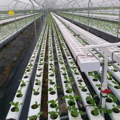 China Stable Structure Easily Assembled Hot Sale Hydroponic Growing System For Hydroponic Greenhouse /Drip Irrigation Glass Greenhouse for sale