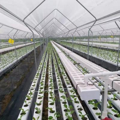 China Stable Structure Easily Assembled Hezhou Automatic Agricultural Hydroponic Soilless System Multi-span Growing Greenhouse For Vegetables for sale