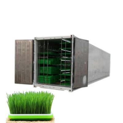 China full automatic wheat barley fodder hydroponic system/wheat barley fodder hydroponic sprout machine for sale