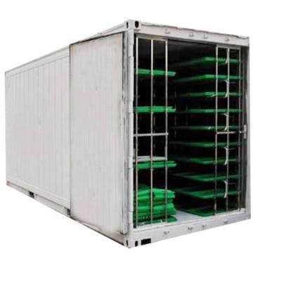 China Wheat 40 HQ Hydroponics Fodder System Container For Farm Systems Hydroponic Growing Fodder for sale