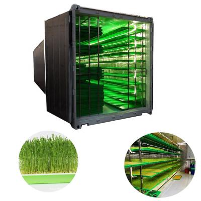 China Wheat Plant Manufacturing Shipping Container Hydroponic Farm | Hydroponic Grass Fodder Container for sale