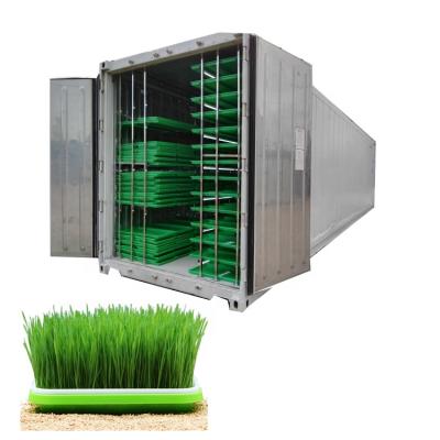 China Wheat High Yield 1000Kg Hydroponic Fodder Machine Turkey For Barley Animal Fodder for sale