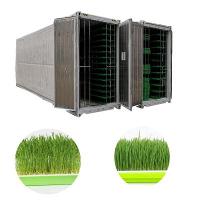 China Wheat Stainless Steel 1500kg/Day Hydroponic Barley Fodder Machine/Automatic Hydroponic Fodder System for sale