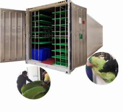 China Fully Automatic Growing Type Hydroponics Green Forage Wheat PLC Control Freezer Shipping Container System for sale